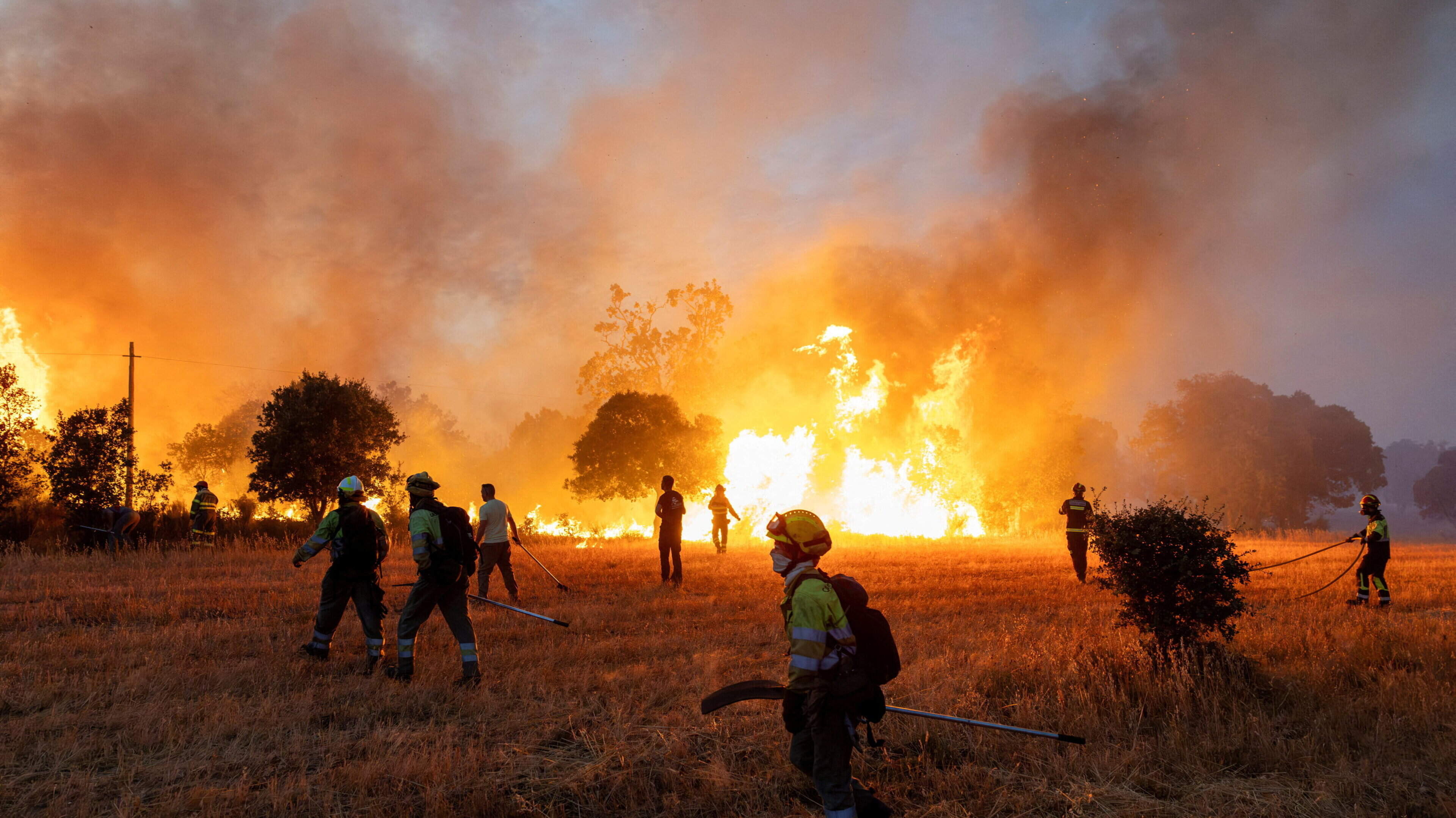 ‘I didn’t know if I would die from fire, ash or from drowning in the sea’ – people flee wildfires as Greece prepares for ‘difficult days’